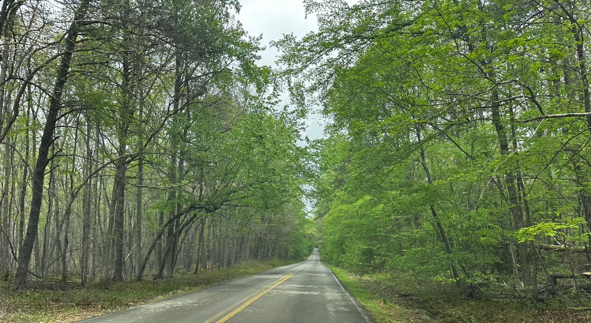 Take a ride in the country and let the beauty take me in!