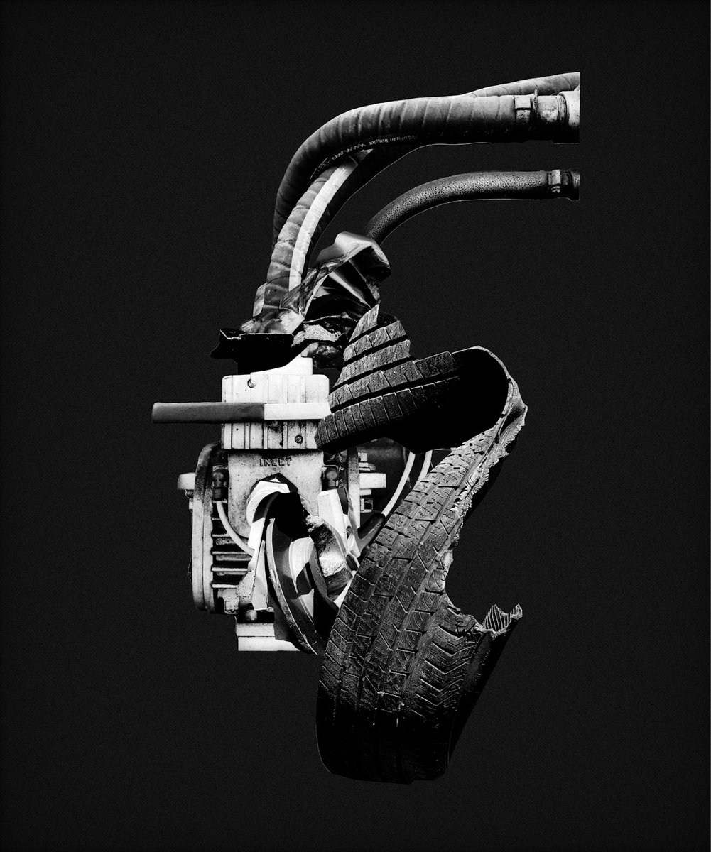 fakewhale tweet media