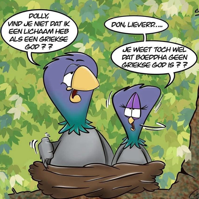 beUnited Groningen (@beunited_gr) on Twitter photo 