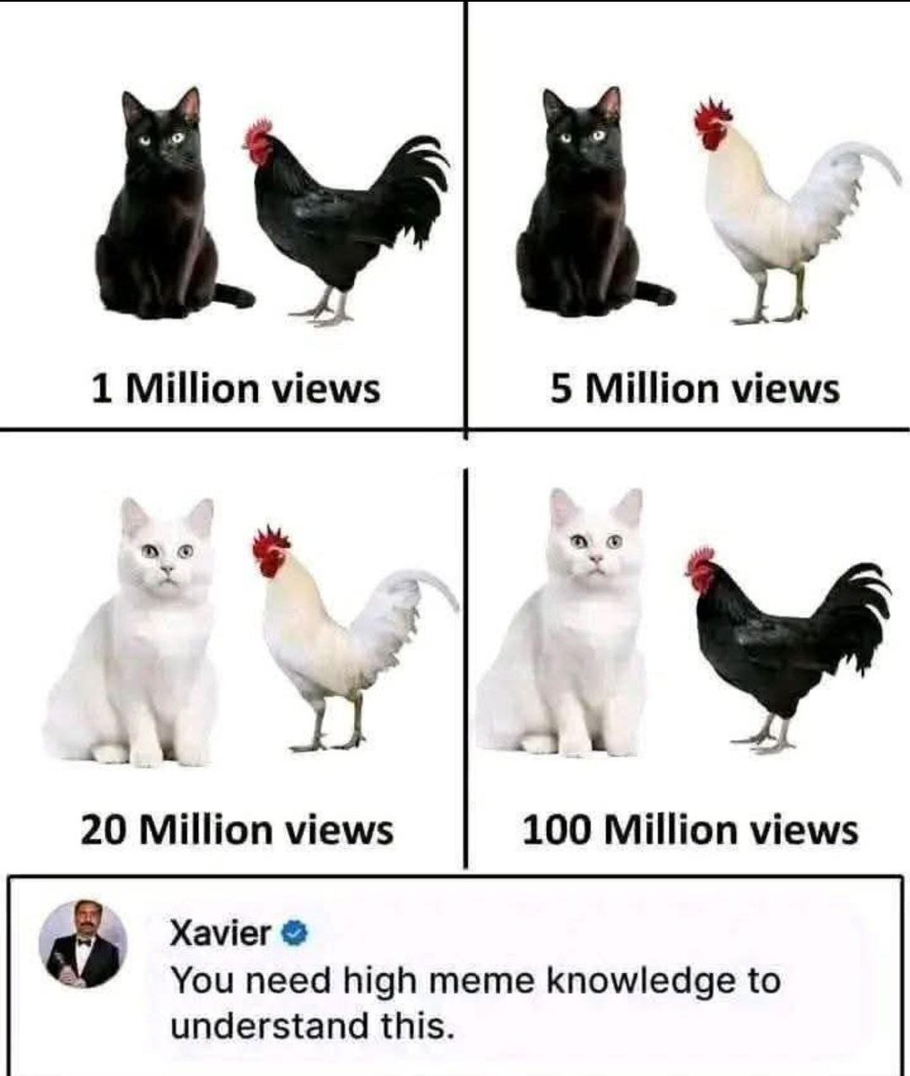 StripperCoin.io💋| Web3 Adult Ecosystem | ™️ tweet media