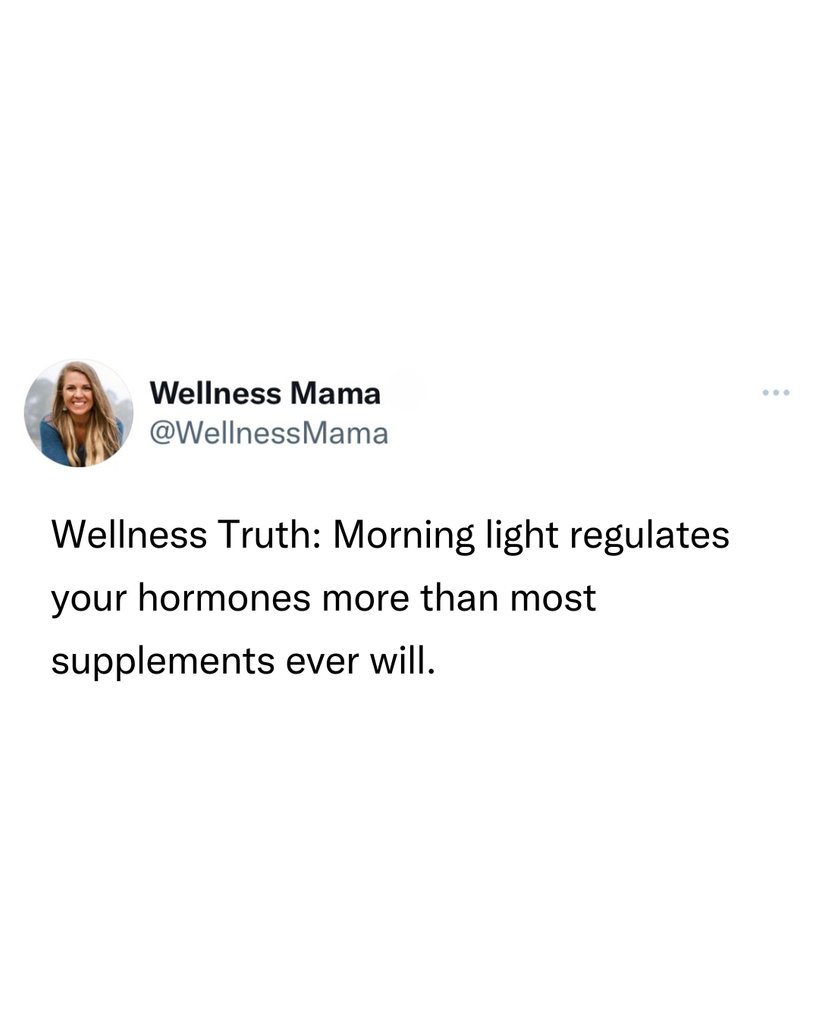 Wellness Truth: Morning light regulates your hormones more than most supplements ever will.