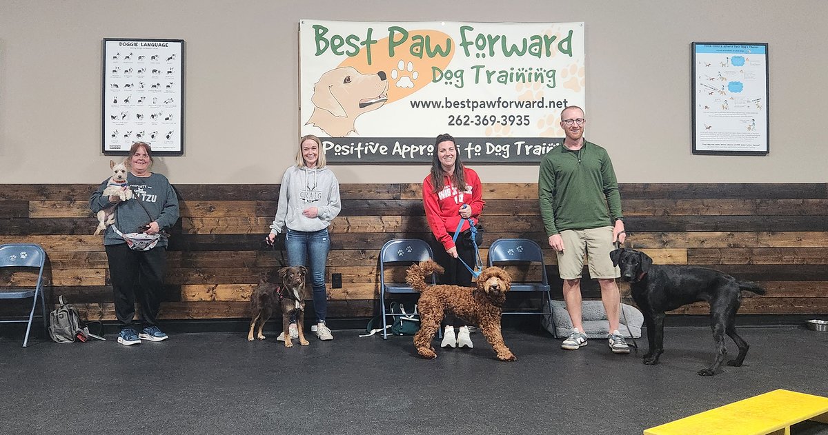 bestpawforwardw's tweet image. Congrats #BasicManners grads! They not only learned how to help their adolescent pups develop their basic manners skills and impulse control, they also learned how to better communicate with them building trust &amp;amp; confidence in each other.#GradPhotos #Dogs #RewardBasedDogTraining