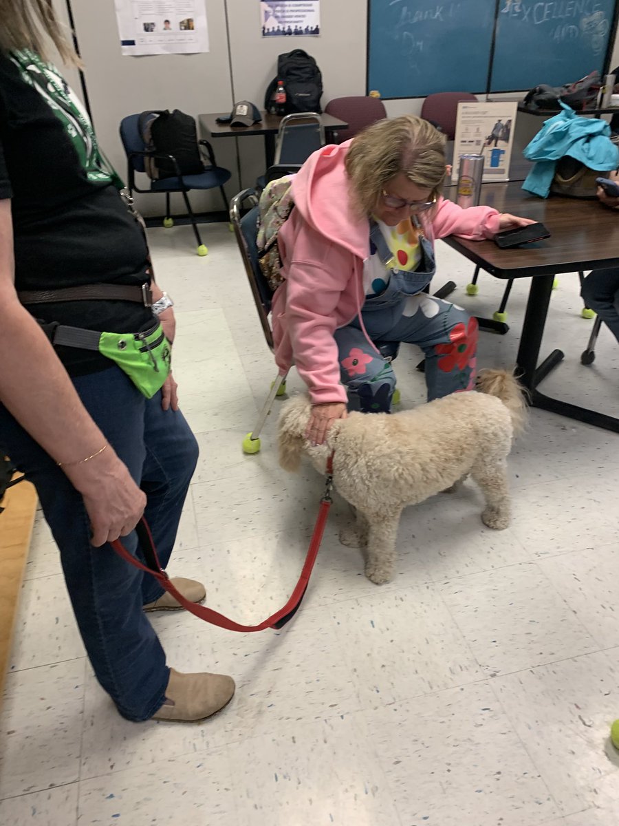Loving our visit from Pets for Life therapy dog’s Chief and Winnie! 
Just out here bringing smiles 🧡🐶🐾