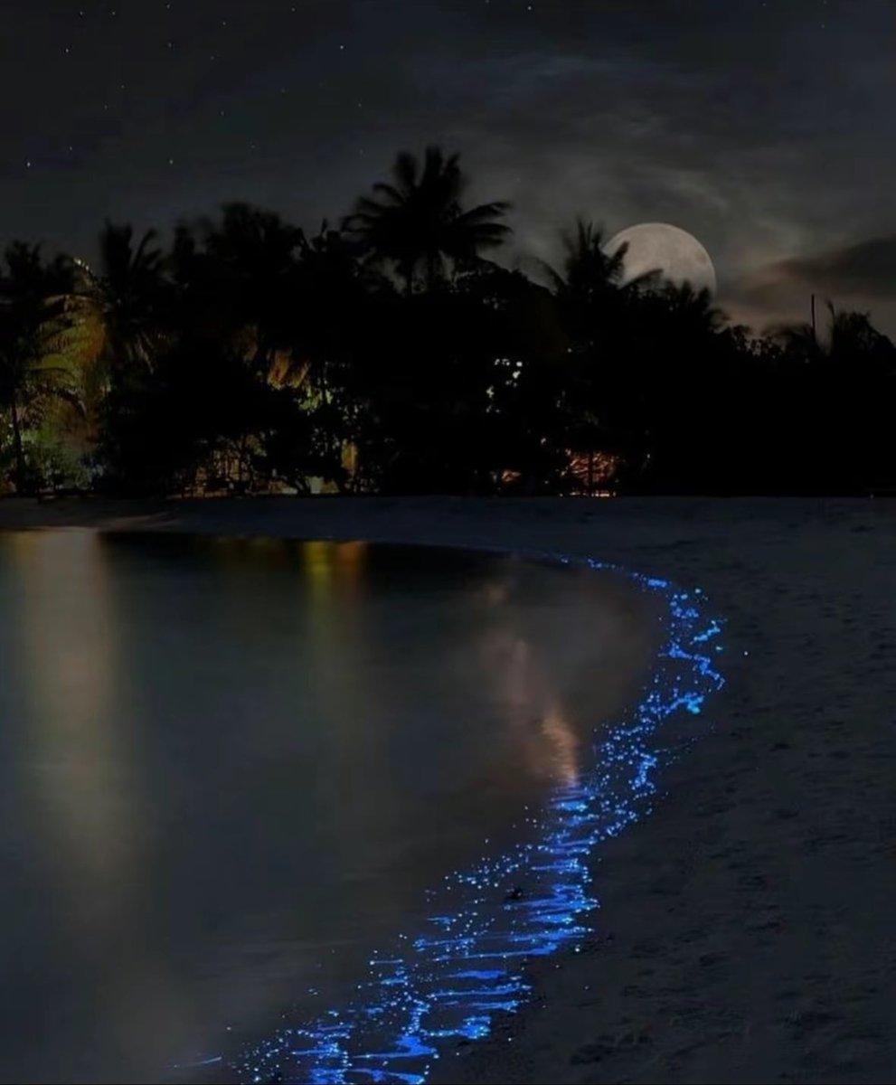 Stop doubting yourself. Work hard and make it happen.🌊🤍