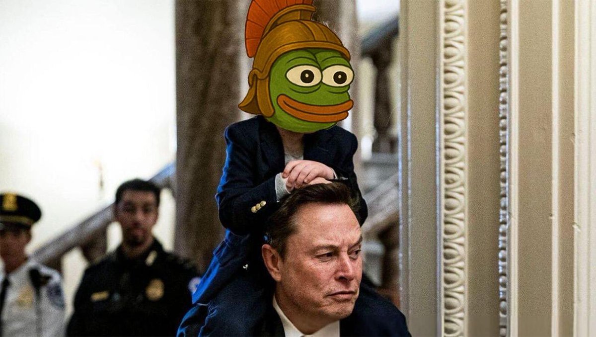 helpyesneed's tweet photo. @elonmusk Can’t wait for lil X to get older to help you drain the swamp  Kekius Minimus https://t.co/vjetPqbLzF