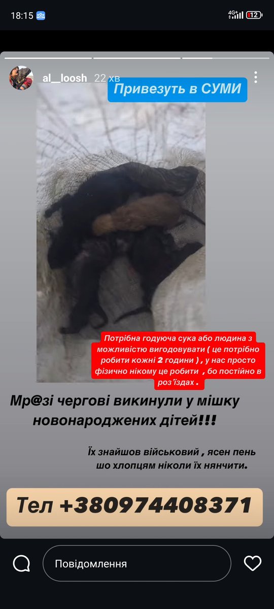 Багато вас тут різних у твіттері. Терміново і дуже важливо: ТРЕБА годуюча собака. Щенят привезуть в Суми, але і далі шось можемо придумати