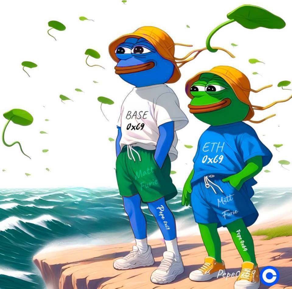 Brothers for life $PEPE 0x69