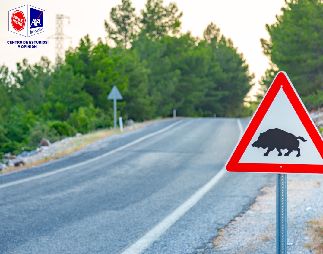 Fundación AXA (@fundacionaxa) on Twitter photo 🚨 Atención, conductores... Esta primavera, ¡cuidado con los corzos! 🦌
Según el VII Informe del Centro de Estudios y Opinión <a href="/Ponle_Freno/">Ponle Freno</a> - AXA de Seguridad Vial, son el animal que más accidentes causa.
Revisa nuestros tips de prevención aquí axa.es/-/los-siniestr… 🚨 Atención, conductores... Esta primavera, ¡cuidado con los corzos! 🦌
Según el VII Informe del Centro de Estudios y Opinión <a href="/Ponle_Freno/">Ponle Freno</a> - AXA de Seguridad Vial, son el animal que más accidentes causa.
Revisa nuestros tips de prevención aquí axa.es/-/los-siniestr…