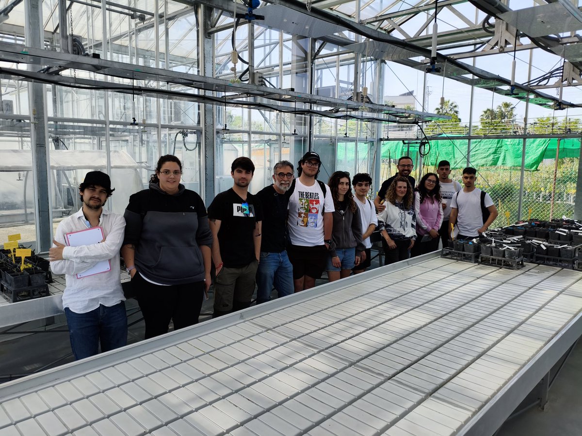 Fco Jesús Gómez tweet media