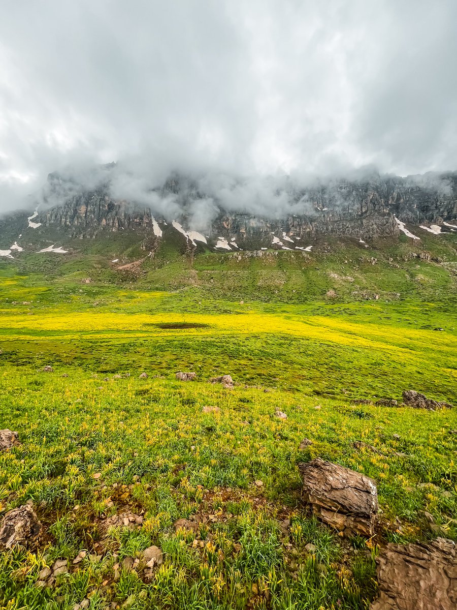 DMI_KRG's tweet photo. لە بناری چیای کارۆخ لە قەزای ڕواندز، ئەم تابلۆ جوانەی سروشتی کوردستان دەبینین. https://t.co/42zQLB7wNm
