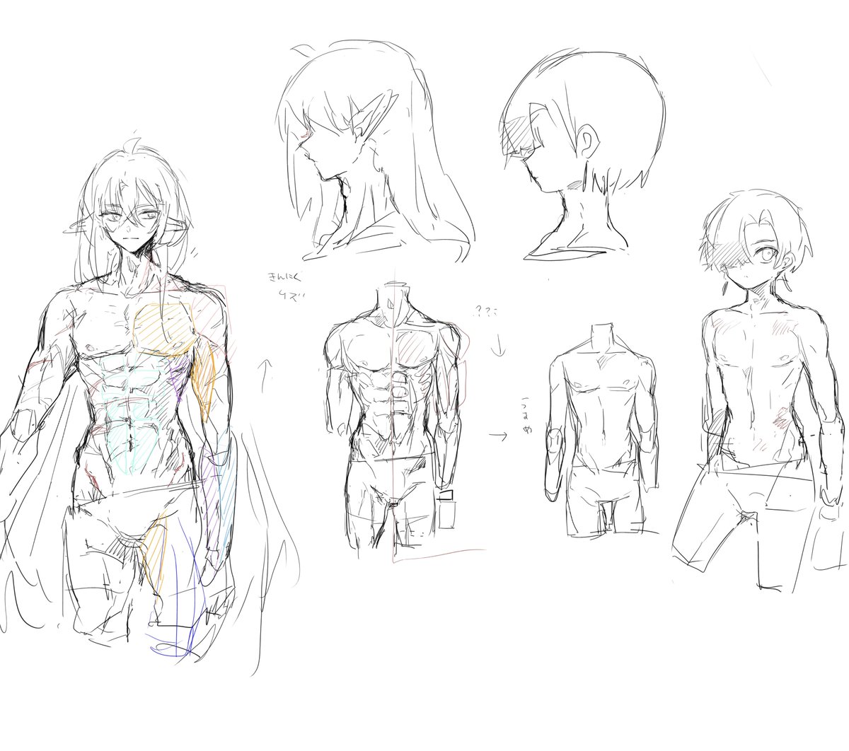 筋肉の描き方練習らくがき 