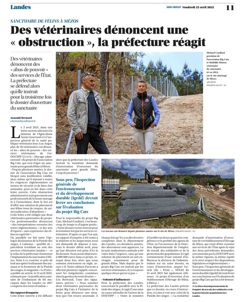 BigCatsFrance's tweet photo. 📰 @SO_Landes parle de Big Cats ! 🙏

👉 Pour signer notre pétition c'est ici : https://t.co/8ITCNBuLIR

#bigcatsfrance #sanctuairelandes #sanctuaireanimalier #bigcats https://t.co/KrzOQzhl7s