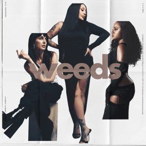 SugababesCharts's tweet image. #Weeds is the 81th most streamed Sugababes Song on Spotify with over 331,000 streams, surpassing &quot;You On A Good Day&quot; and &quot;Mended By You&quot;