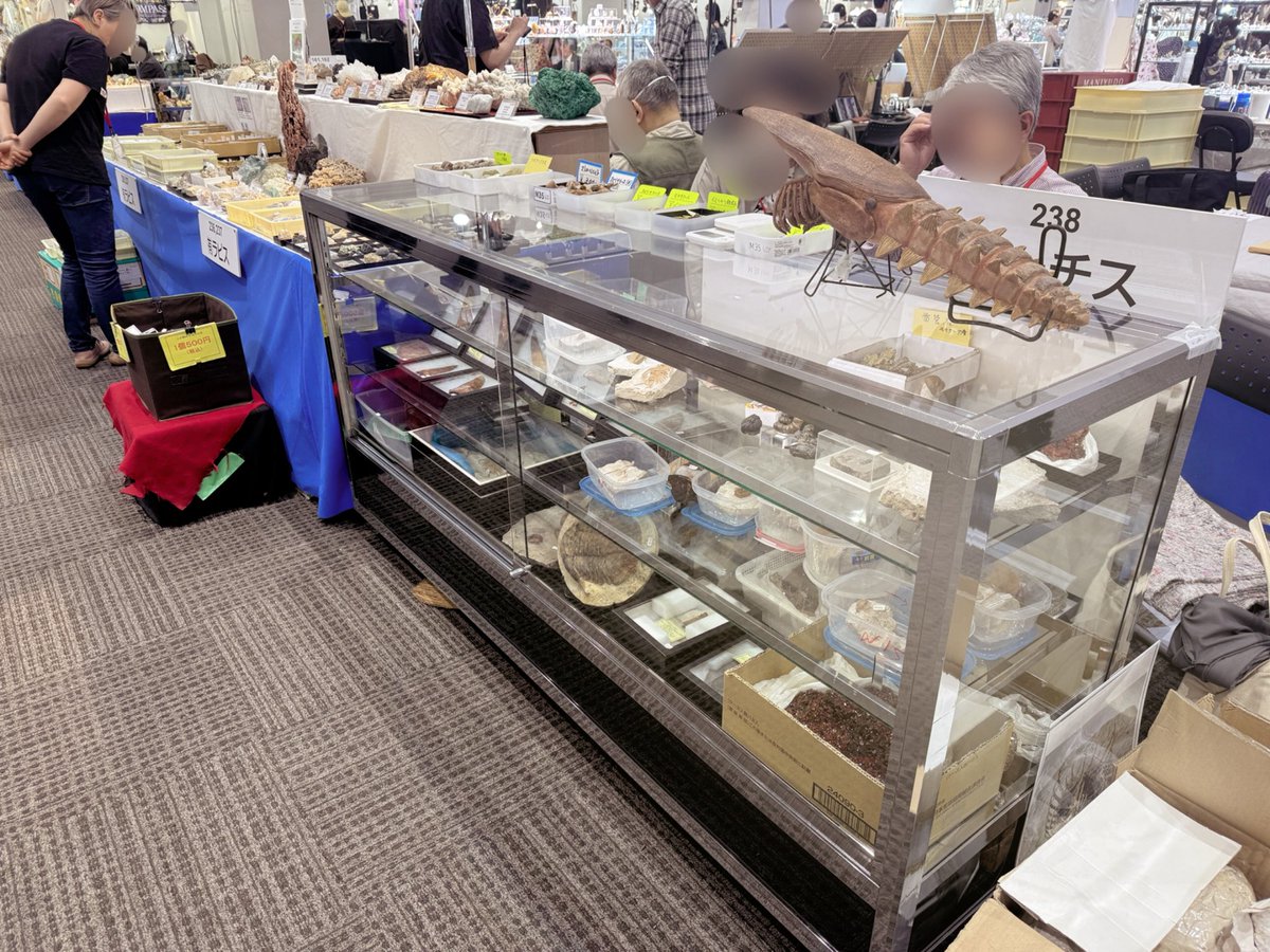 いよいよ明日から石ふしぎ大発見展ですね！
テーチスも準備万端です😄