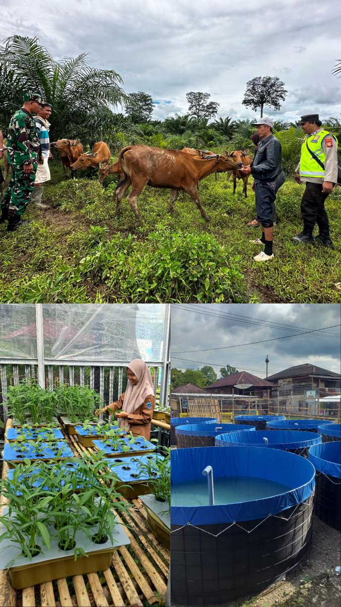 Ketahanan Pangan Untuk Kesejahteraan Rakyat Desa
#TerimaKasihPakYandriSusanto#
<a href="/prabowo/">Prabowo Subianto</a> 
<a href="/YandriSusanto/">Yandri Susanto</a> 
<a href="/ArizaPatria/">Ariza Patria</a> 
<a href="/taufikmadjid71/">IG : taufik.madjid</a>
<a href="/kemendespdt/">#BangunDesaBangunIndonesia</a> 
<a href="/bpsdmkemendesa/">Bpsdm Kemendesa</a>