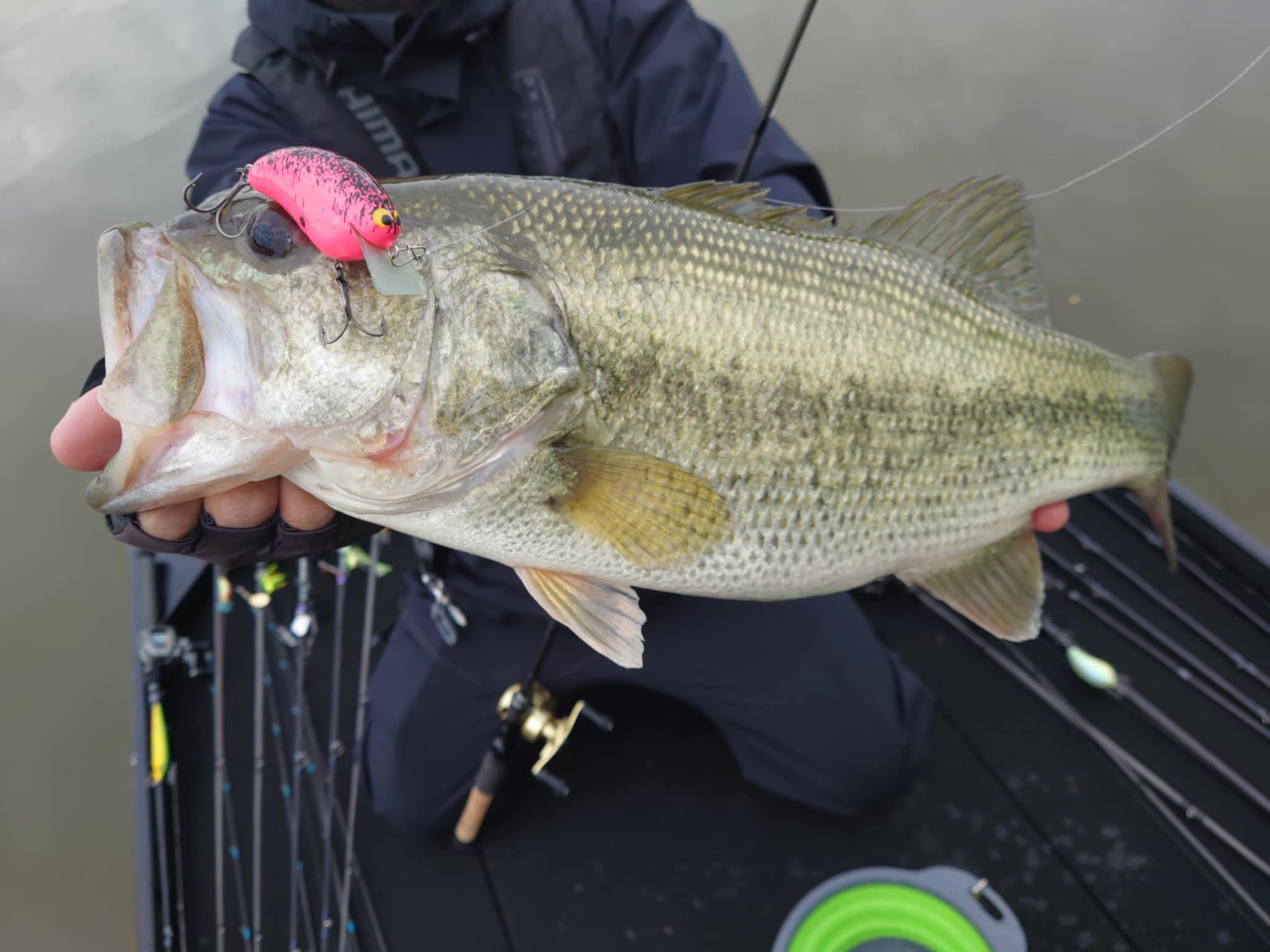 Ryo Sakurai【MPB LURES】【GRAVEL】 (@mpb_lures) / X Ryo Sakurai【MPB LURES】【GRAVEL】 (@mpb_lures) / X