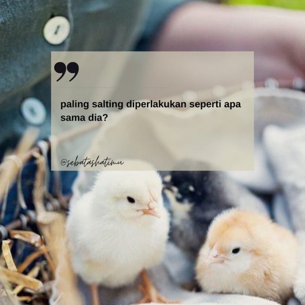 paling salting diperlakukan seperti apa sama dia?
