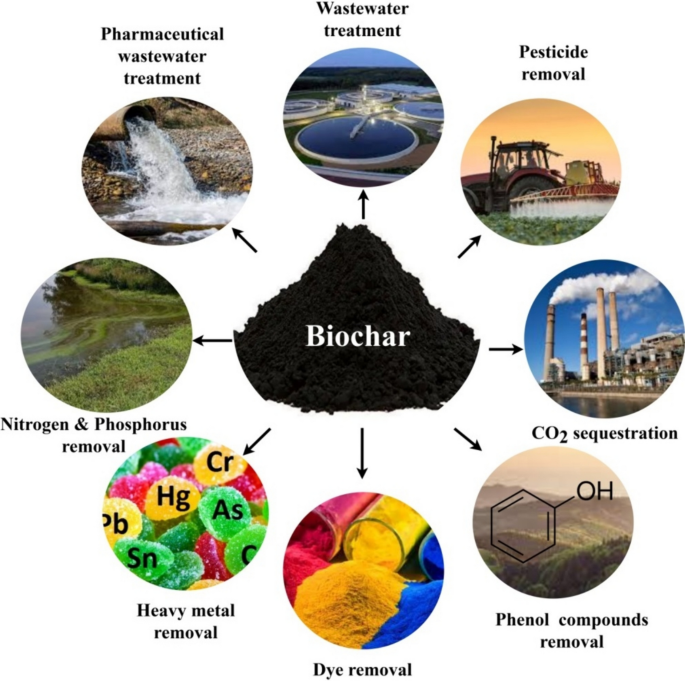 Ќумурот е скромниот и неопеан црн херој!
Со векови лечеше стомачни маки, спасуваше од труења, пречистуваше вода и воздух, ја хранеше почвата.
А сега изгледа ќе не куртули и од клетата микропластика, која се заканува дека ќе ни влезе во секоја клетка.