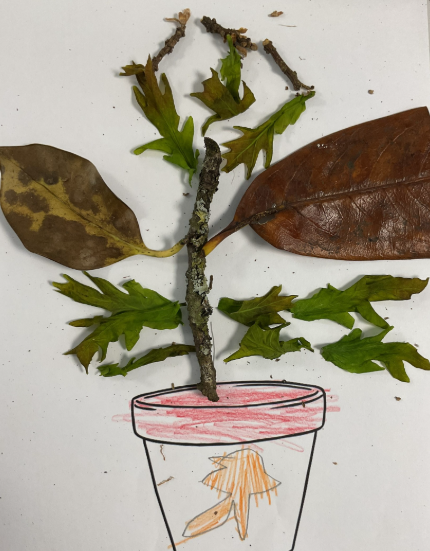 The primary inspire class have been working very hard during the first week back! They have made their own clocks to support them during their maths lessons, as they are learning how to tell the time. They have also designed and created their own plants in science!