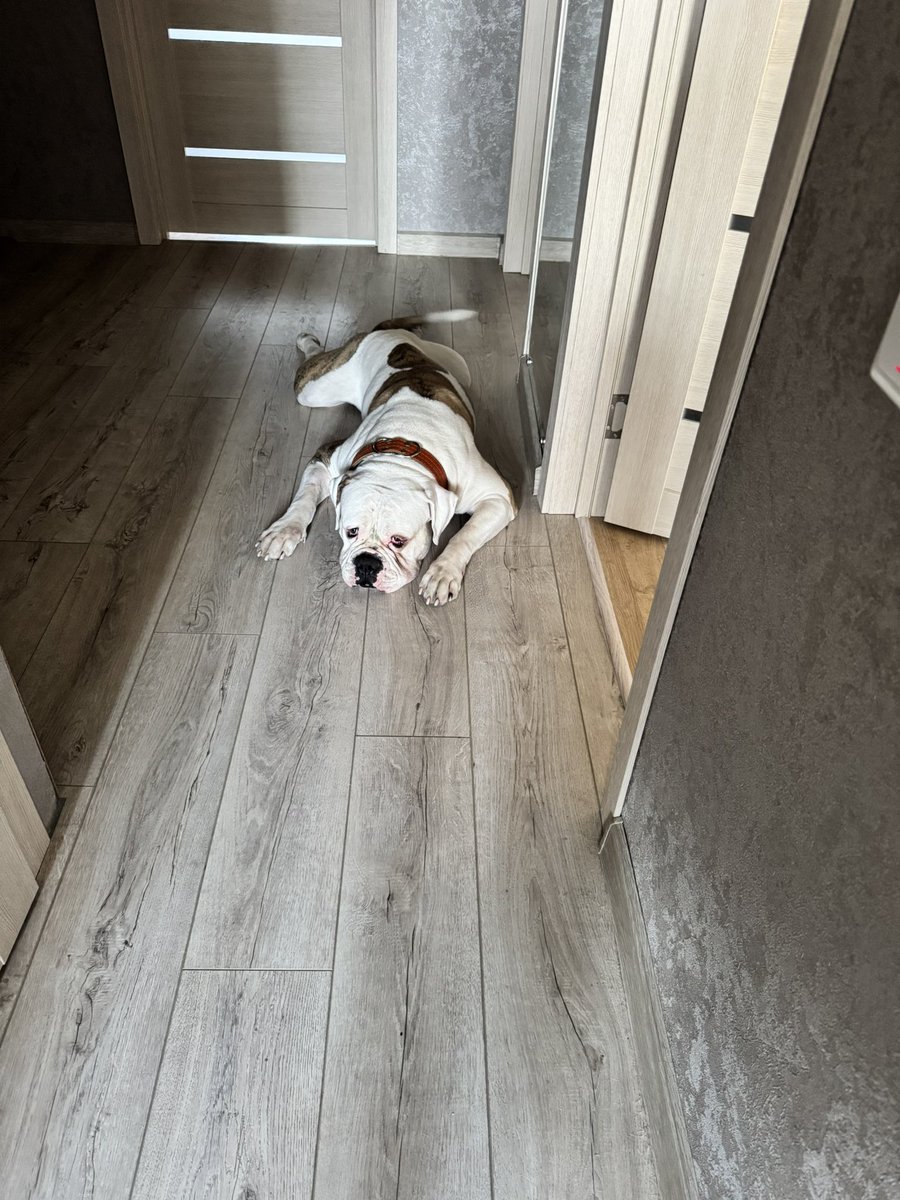 Сделали операцию, отходит от наркоза, нитки торчат. Предстоит еще снять швы с глаза. Травма глаза с надрывом нижнего века , гребаная передержка