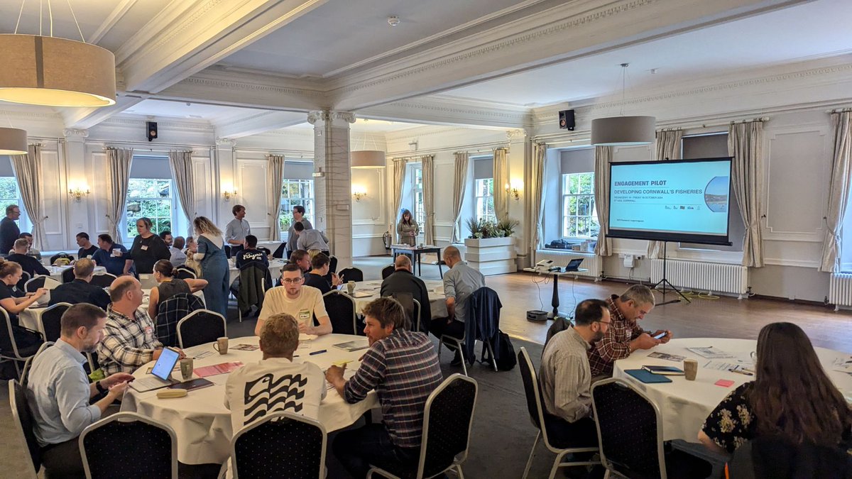 The_MMO's tweet image. 📢 NEW FMP BLOG POST: Cornwall commercial fisheries pilot: summary report published

Read for a summary of the pilot event which covered a few FMPs, sustainable fishing and future priorities. 

Find the post here: bit.ly/4lGuYLP 🐟 🌊 

#FMPblog #FMPs