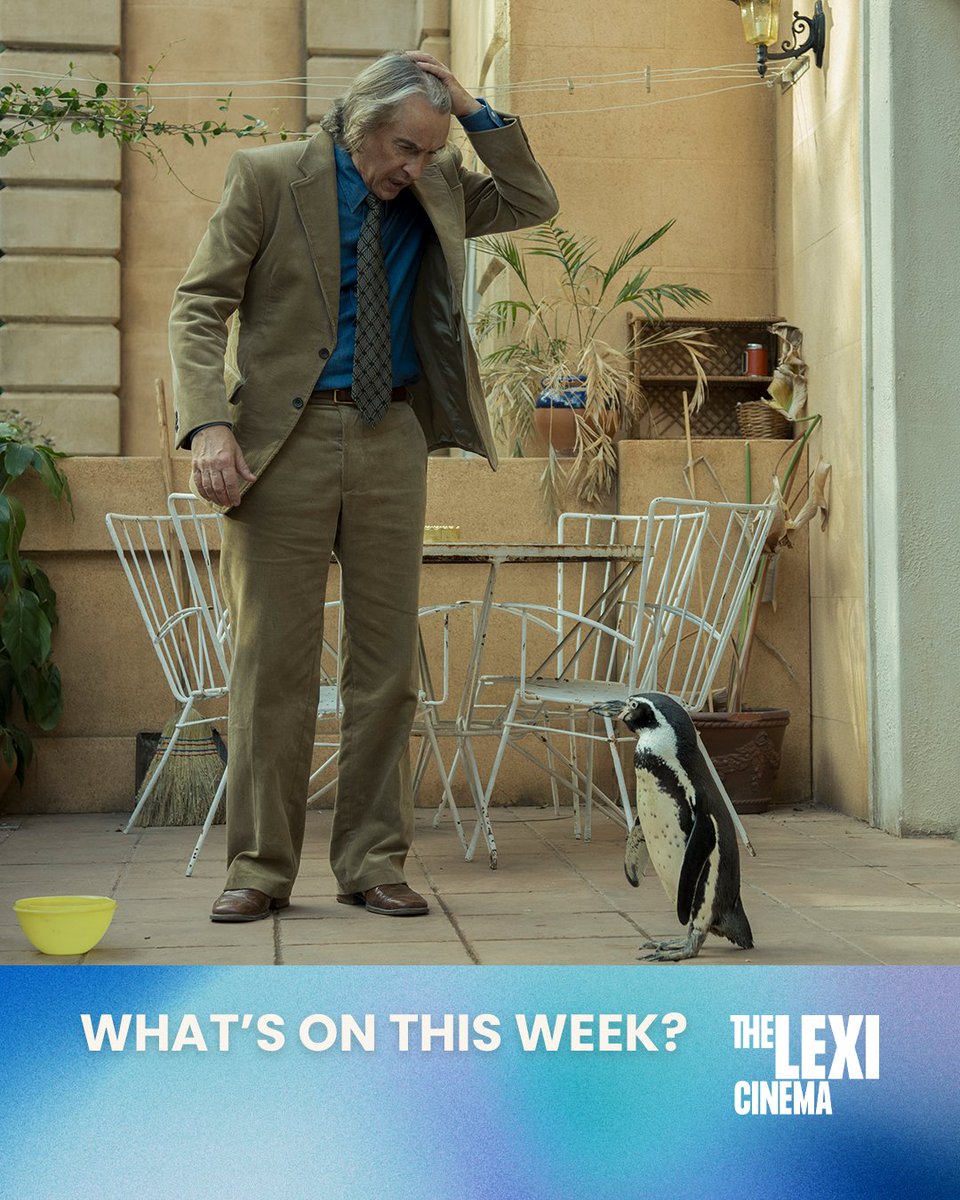 Two animal adjacent films for #newreleasefriday with Steve Coogan befriending a penguin in THE PENGUIN LESSONS (🐧) and competitive Comté cheese making in HOLY COW (🐄).

We've also got holds of BLUE ROAD: THE EDNA O'BRIEN STORY, THE RETURN and FLOW!

🎟️ thelexicinema.co.uk/TheLexiCinema.…