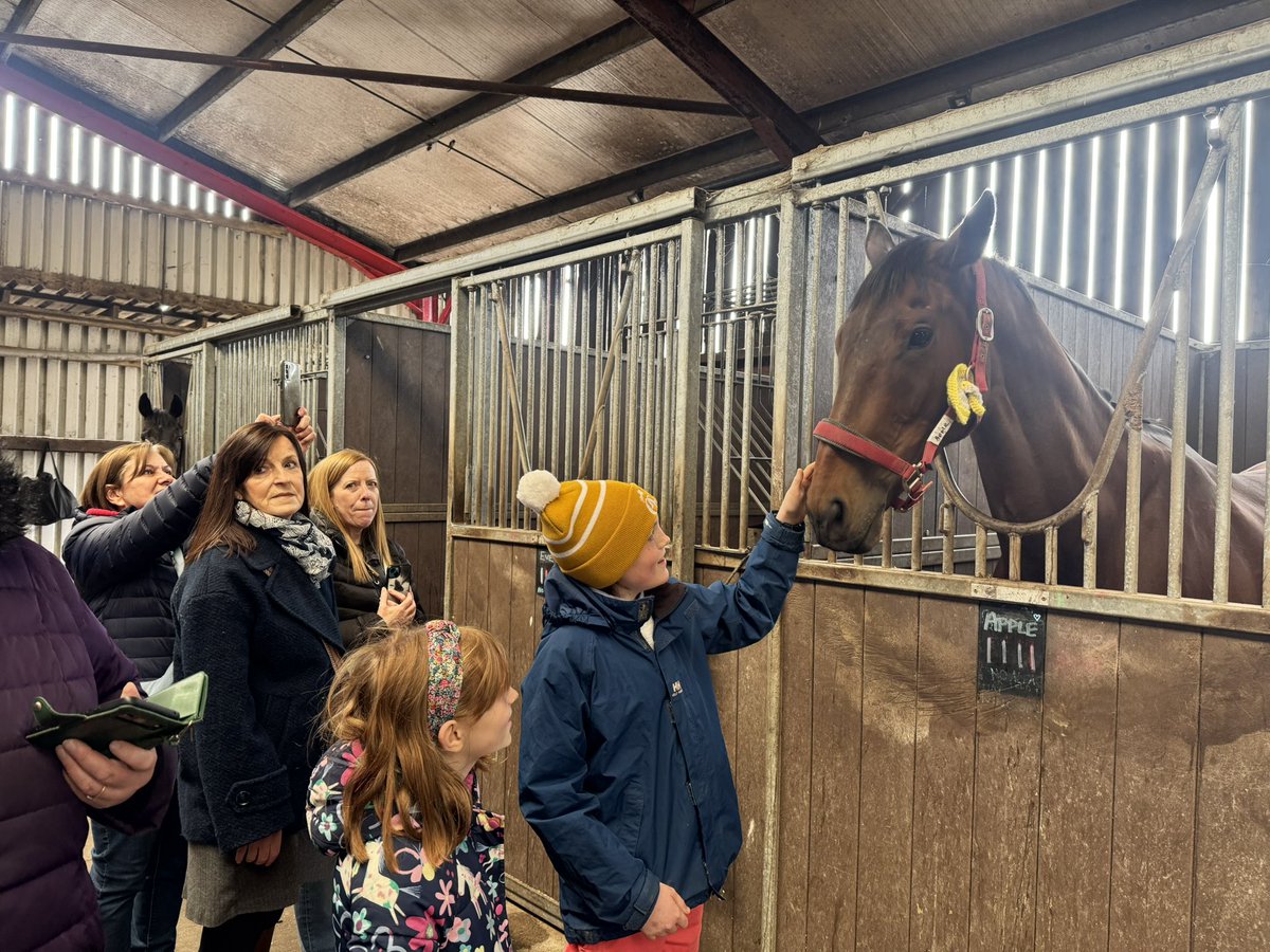 Kirstie H (@kirstieh) on Twitter photo And a year later, they finally got to meet Apple Away and present her with their crocheted “rosette”. Thank you so much to <a href="/lucindavrussell/">lucinda russell</a> <a href="/petescu/">Peter Scudamore</a> and their team (special shout out to Emma!) and to <a href="/OldGoldRacing/">Old Gold Racing</a>. And a year later, they finally got to meet Apple Away and present her with their crocheted “rosette”. Thank you so much to <a href="/lucindavrussell/">lucinda russell</a> <a href="/petescu/">Peter Scudamore</a> and their team (special shout out to Emma!) and to <a href="/OldGoldRacing/">Old Gold Racing</a>.