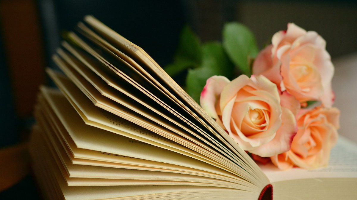 The Office of the Dean (@dean_kcl) on Twitter photo FRIDAY with <a href="/KCLChaplaincy/">KCL Chaplaincy</a>
* 12pm: Weekly Eucharist (Guy's)
* 1pm: Sweet Friday! (Guy's)
* 1pm: Dean's Office Book Club (Online)
* 2pm: Afternoon Tea (Strand)
tinyurl.com/uzrn2ubc FRIDAY with <a href="/KCLChaplaincy/">KCL Chaplaincy</a>
* 12pm: Weekly Eucharist (Guy's)
* 1pm: Sweet Friday! (Guy's)
* 1pm: Dean's Office Book Club (Online)
* 2pm: Afternoon Tea (Strand)
tinyurl.com/uzrn2ubc