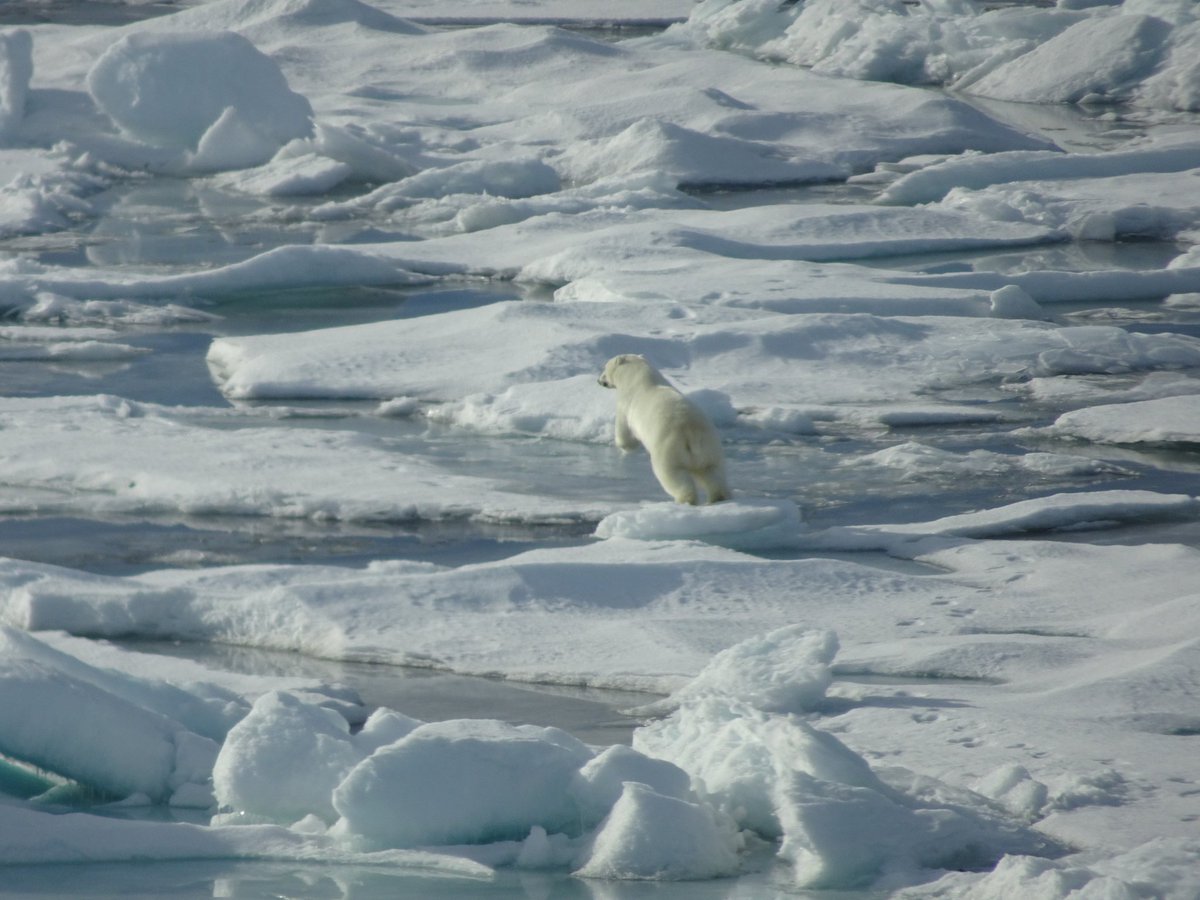 New data constraining the history of the Greenland Ice Sheet (GrIS) &amp; helping to contextualise future GrIS response to climate change. Work from the  <a href="/NEGIS_Durham/">NEGIS</a> team with great support from AWI colleagues and the Polarstern <a href="/GeogDurham/">Geography at Durham</a> doi.org/10.1016/j.quas…