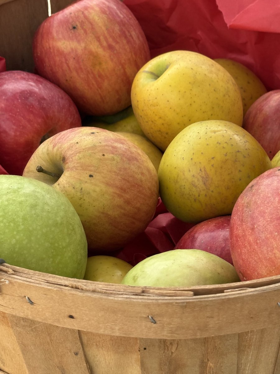 ThirtyOneCran's tweet image. school farmers market is back