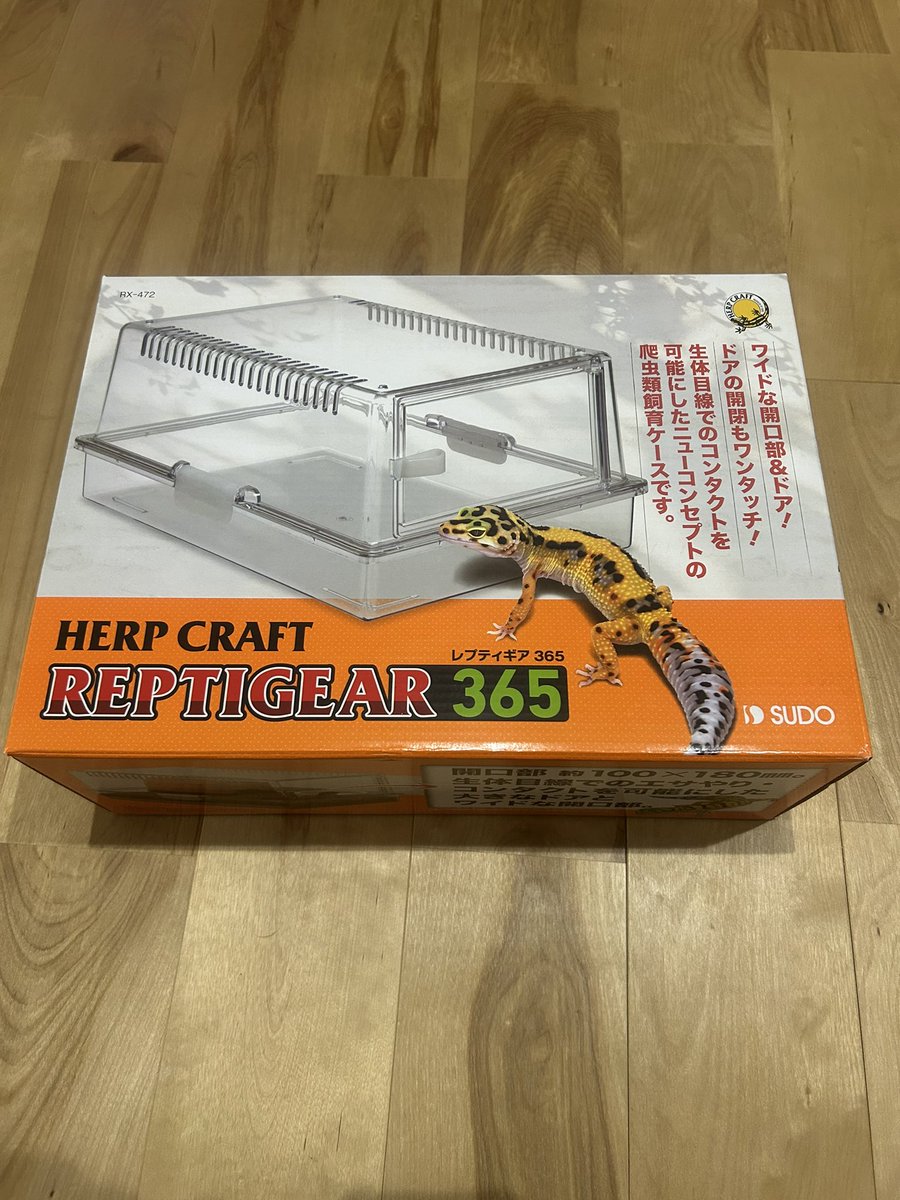 FsGecko's tweet image. 当選しました！👍
スドーさんありがとうございます！

 #爬虫類好きと繋がりたい   #爬虫類 #レオパ  #レオパードゲッコー  #ヒョウモントカゲモドキ  #繁殖 #長崎