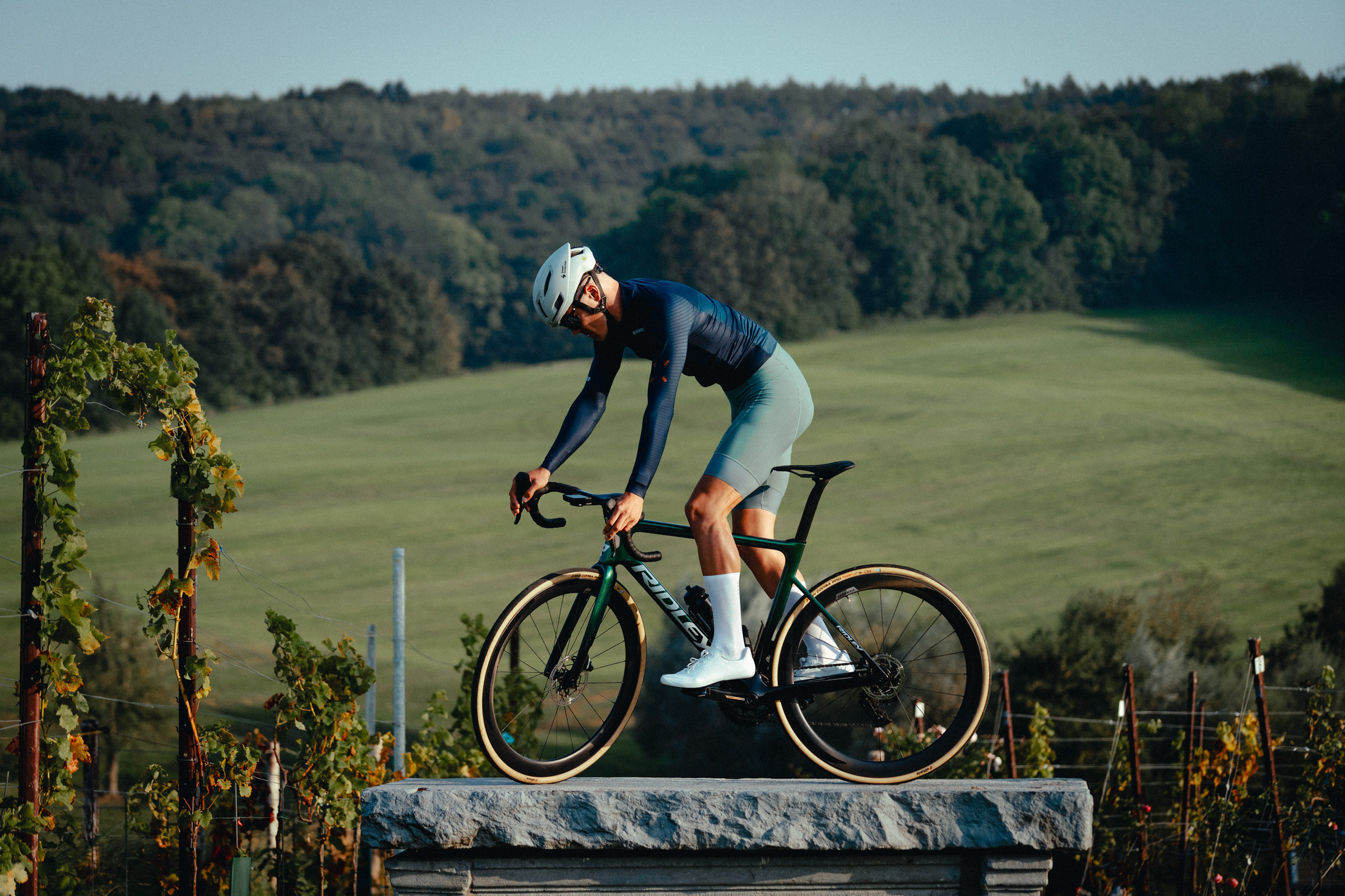 Bioracer_japan (@Bioracer_japan) / X Bioracer_japan (@Bioracer_japan) / X