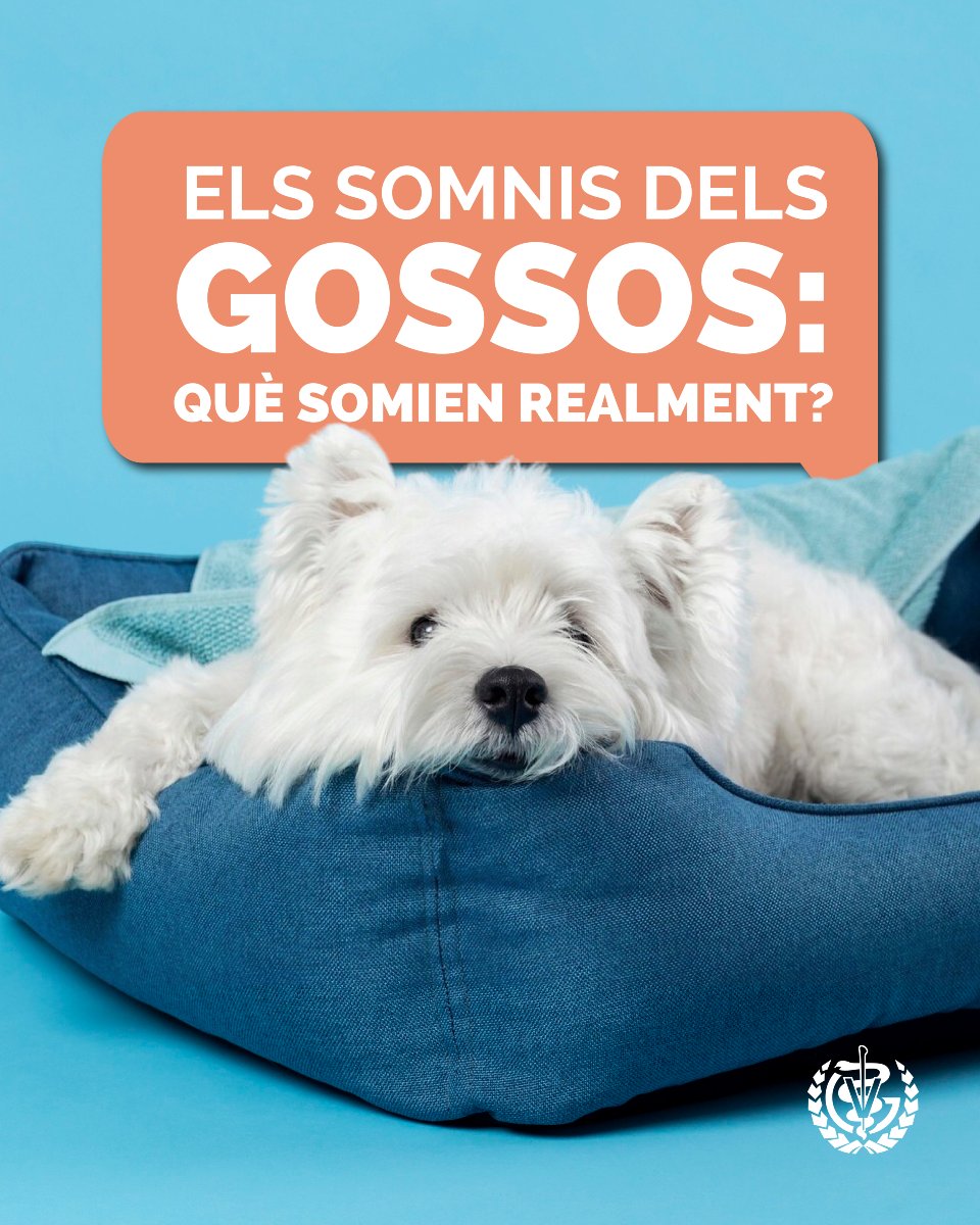 Col·legi de Veterinaris de Girona tweet media