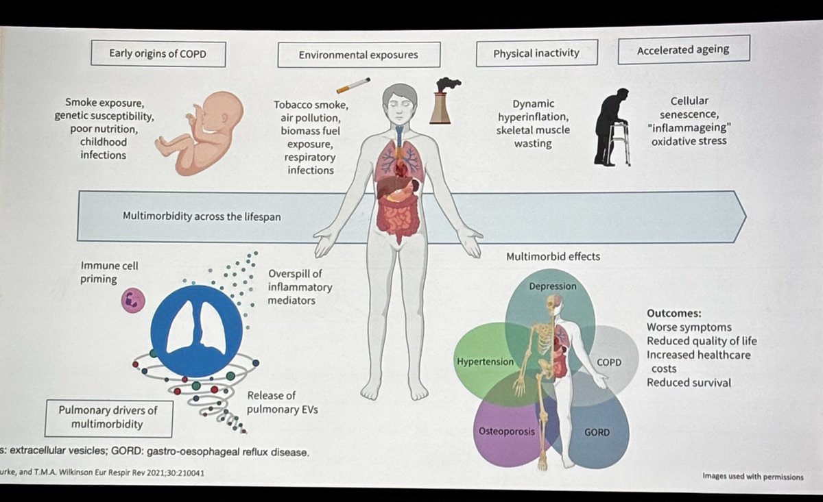 Neal McCausland tweet media