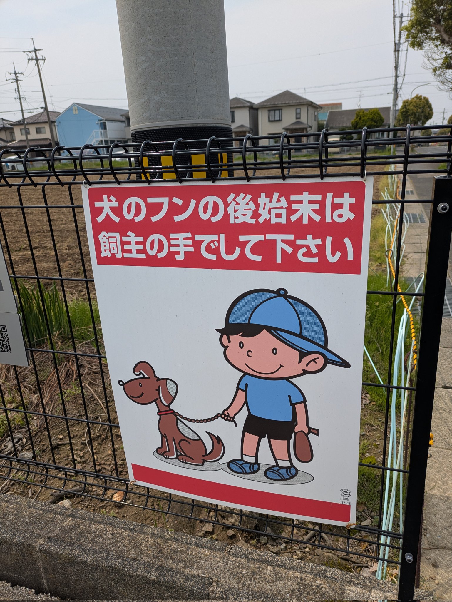 Search糞の写真 