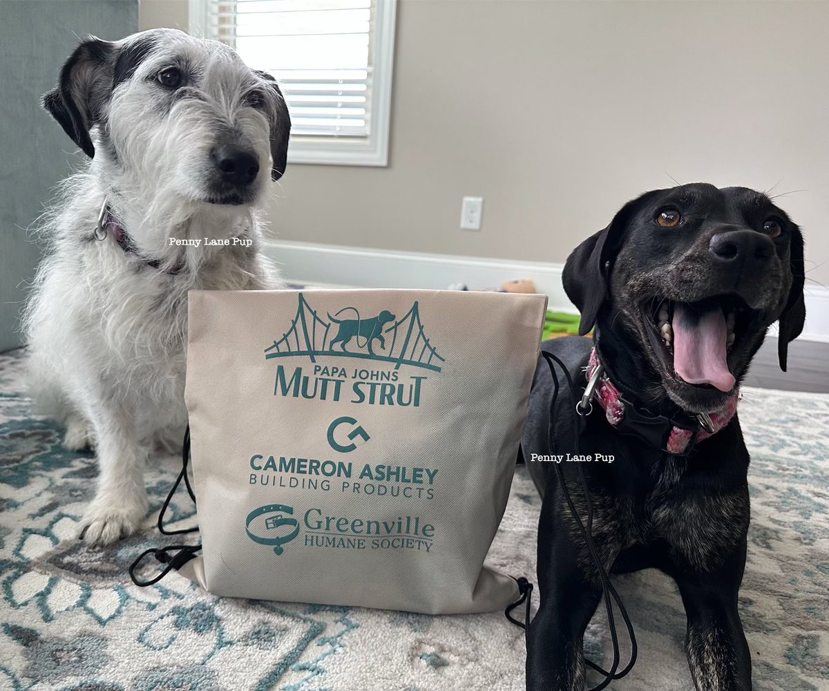 Penny_Lane_Pup's tweet image. Da Mutt Strut is tomorrow!!!!

OMD! OMD! OMD! 😃😃😃

There’s still time to donate to help da Greenville Humane Society!

I don’t know what Luna is doing 🤣
runsignup.com/lawnpotato 
#muttstrut #pennylane #lunatoo