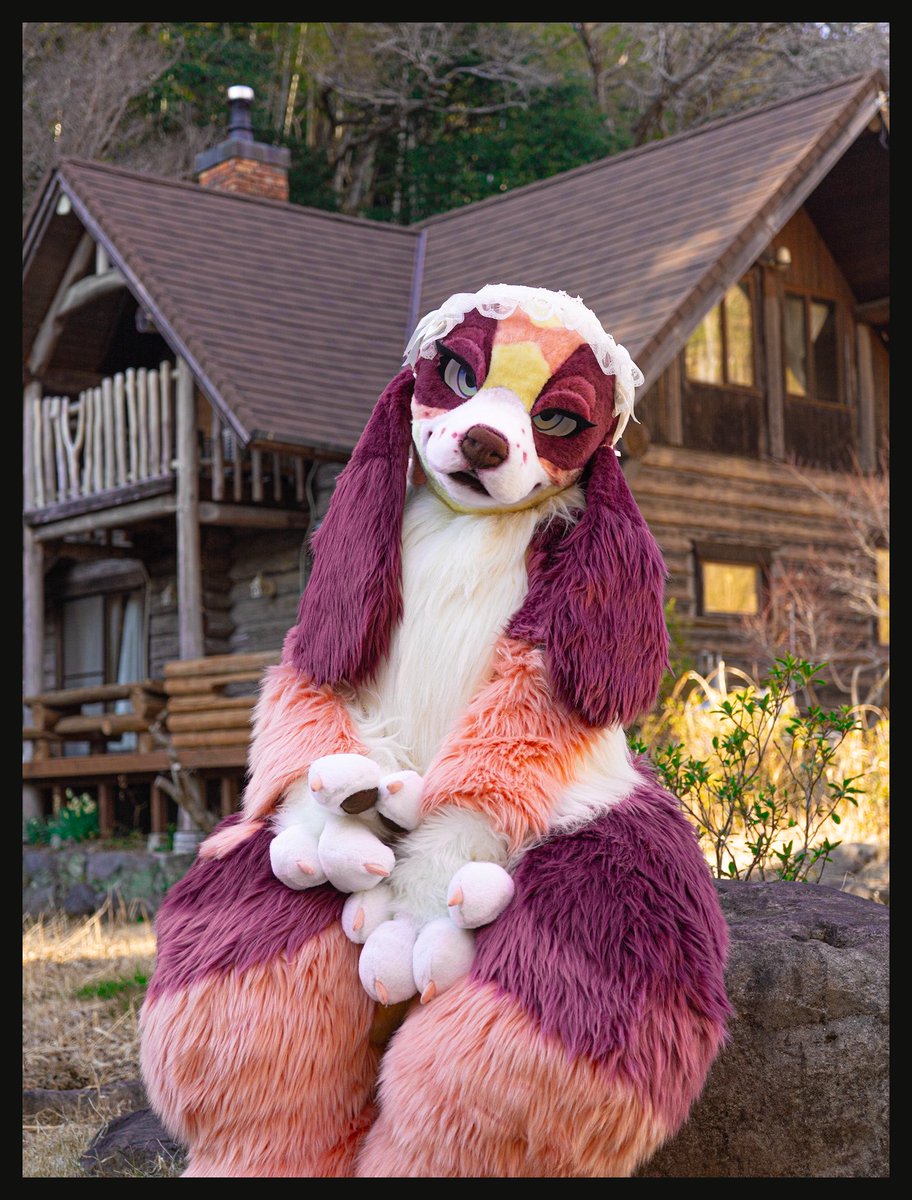 UnderGulion's tweet photo. “I made some tea… do you want some?”

 #FursuitsFriday 
 #shippocrafts https://t.co/JdxOKyO3j2