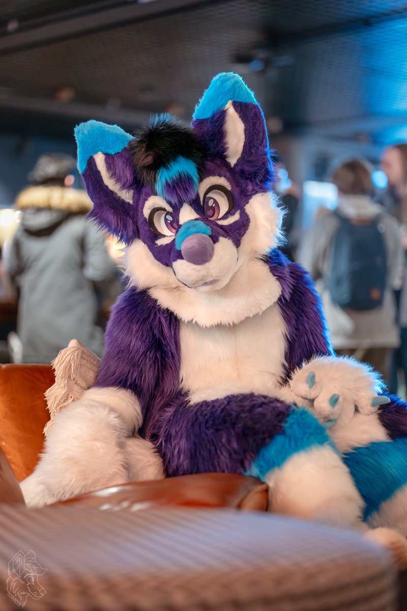 Why dont u come here and take a seat :3

Happy #FursuitFriday

📷 <a href="/vlaaacek/">VlaceK</a> 
🪡 <a href="/AltaWoof/">Alta!! 🔜 Pawske, MFF</a> 
📍 #NFC25
