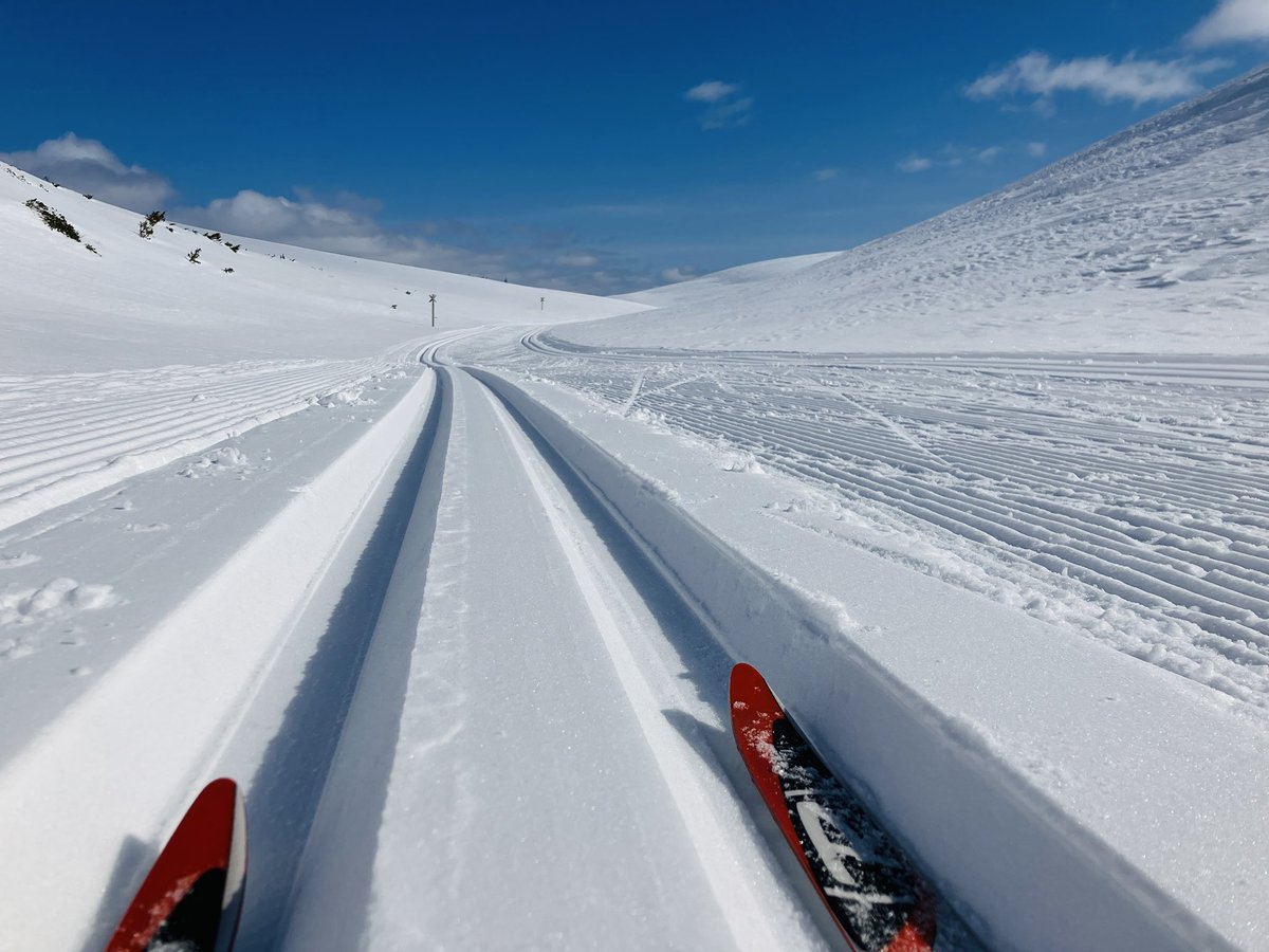 Latupeikko's tweet photo. Siirryimme eilen Kilpisjärvelle Hetan kautta ja kävimme Sioskurussa. Latu sinne on  hyvällä kelillä varmasti yksi Suomen hienoimmista. #Hetta #Enontekiö #Lappi #hiihto https://t.co/6iix3xsjDJ