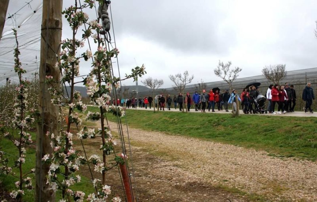 Llegan las quintas 'Jornadas de la manzana' que organiza <a href="/nufriGroup/">NUFRI</a> en El Burgo de Osma. Deporte, gastronomía, música... Lo cuenta Mercé Gomà, responsable de márketing. <a href="/BurgoOsma/">El Burgo de Osma</a> #Soria 
⬇️
acortar.link/Hwxq3H