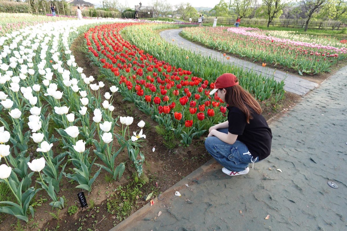 tmr4f8's tweet photo. 🌷✨ https://t.co/HXf7K3Eoaw