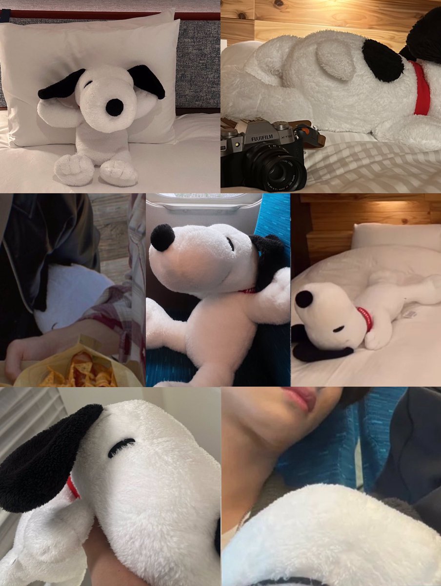 puppapxiion tweet picture