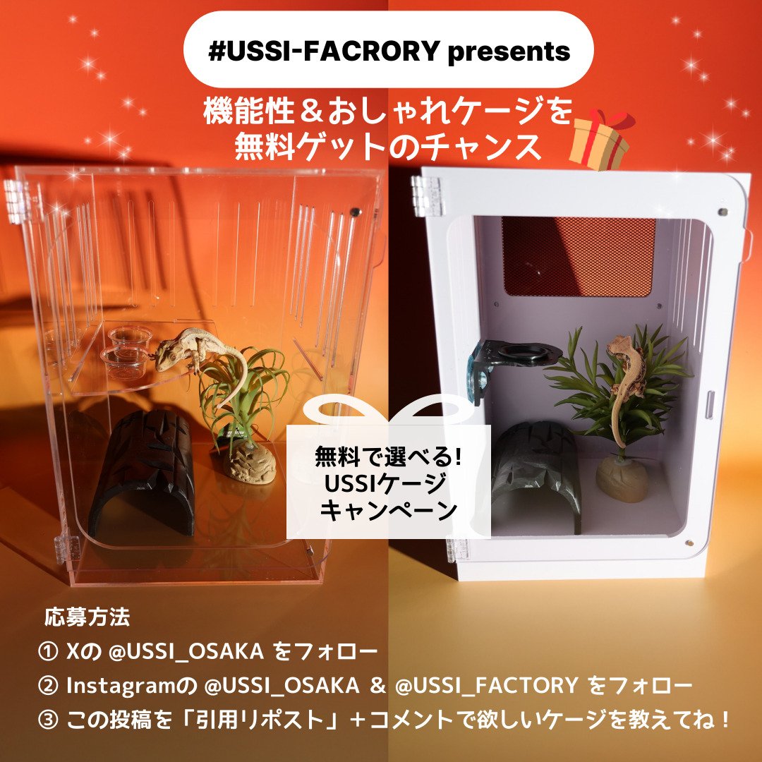 USSI_OSAKA's tweet photo. 【#USSI_FACTORY presents】
機能性＆おしゃれ！ケージを無料ゲットのチャンス🎁

📦選べ��！「PVCケージ 2020×30」or「透明アクリルケージ 2020×30」
インテリア映えと使いやすさを両立した、人気の飼育ケージ✨
あなたはどっち派？PVC？それとも��クリル？

🔸応募方法
① Xの @USSI_OSAKA をフォロー
② Instagramの @USSI_OSAKA ＆ @USSI_FACTORY をフォロー
③ この投稿を「引用リポスト」＋コメントで欲しいケージを教えてね！
📷 当選したらケージに生体を入れた写真付きでレビュー投稿ができる方のみご応募ください
📸 応募時に、引用リポストに当選したら入れる予定の個体の写真も添付してくれると当選率UP⁉️
（※USSI_OSAKAでお迎えした個体ならさらにチャンス🎯）

🚫プレゼント企画だけを目的としたアカウントからの応募は抽選対象外とさせていただきます。

✅抽選で2名様に無料プレゼント！
🕓応募期間：本日〜5月3日 19時まで
🎯当選発表：5月4日

🎯 こんな方にぴったり！
・個体の成長で新しいケージが必要な方
・ケージをおしゃれにアップグレードしたい方
・SNSで飼育環境をシェアしたい方

お気軽にお問い合わせください↓
https://t.co/jlegyWkZx3

用品サイトはこちら↓
https://t.co/ofGR137MDq
生体リストはこちら↓
https://t.co/oHNDvj7zCb
youtubeチャンネル↓
https://t.co/pey46iBKMA

#爬虫類好きと繋がりたい
#爬虫類のいる暮らし  
#ケージレイアウト  
#USSI_OSAKA  
#ボールパイソン  
#レオパ