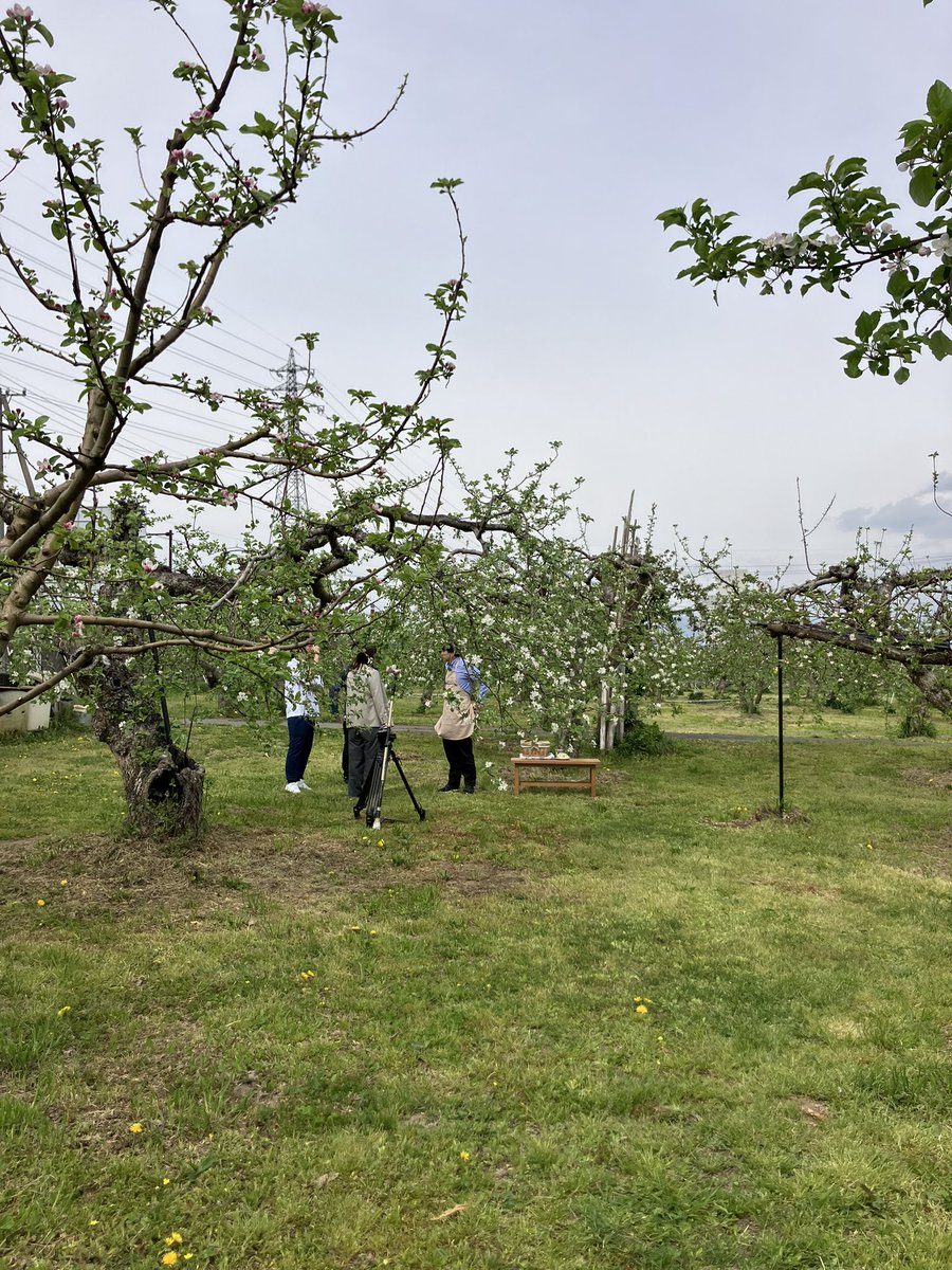 私の映画の追撮で長野へ🍎
撮影から2年ぶりに会うりんごの花✨
相変わらず可愛らしく咲いてました😍😍
撮影に協力してくれたフルポロ農園の
虎千代さん、ありがとうございました♡
オープンしたばかりのpiqueniqueにも
お邪魔できてよかった❣