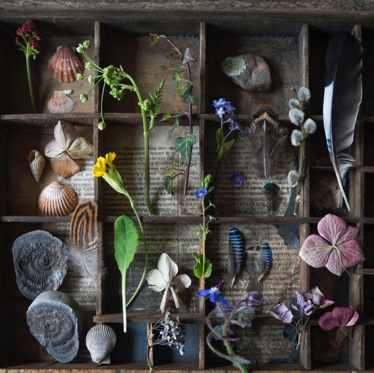 silverpebble's tweet photo. My new workshop: small museums for mental health, is now live.🐚🌿🪶🪸
I'll teach you how creating small tabletop museums alters brain biochemistry to improve mental health & we'll make museums together.
24 May, on zoom, full recording available indefinitely afterwards. Open to anyone, anywhere.
I trained as a molecular cell biologist-this course will teach you how to hack your own brain to alleviate anxiety:
https://t.co/p5uI86HQcZ