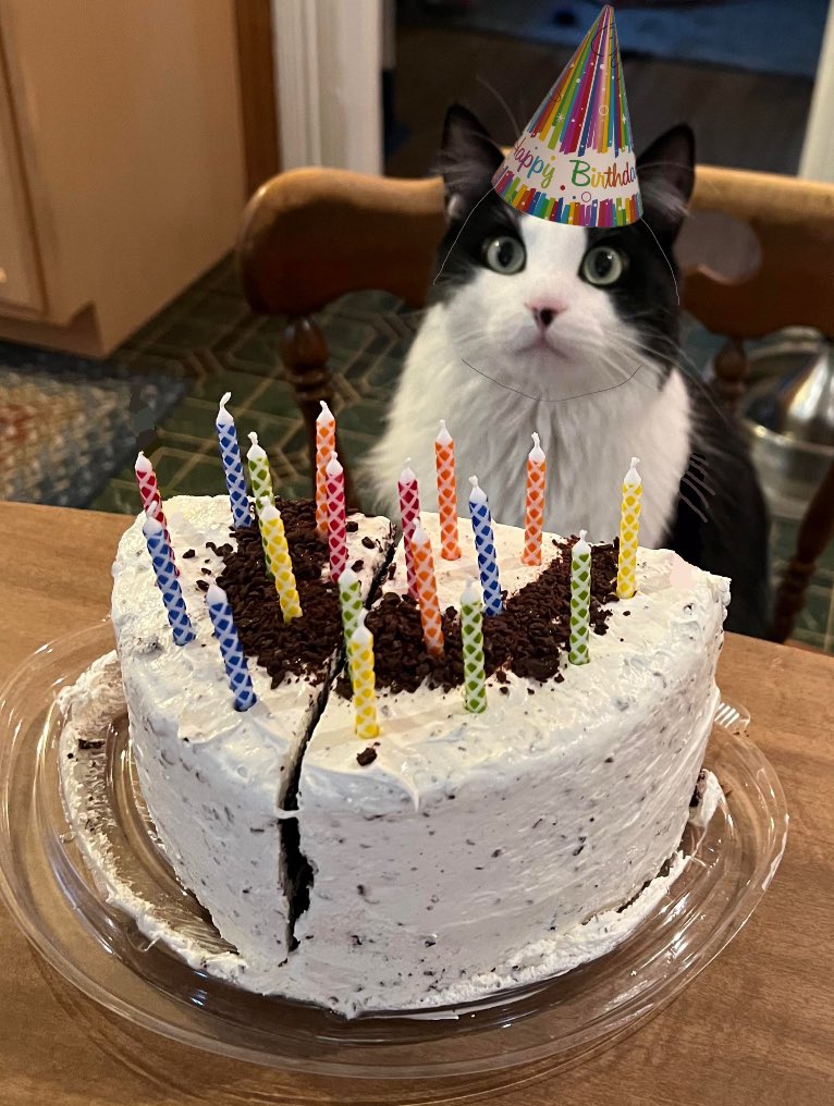 (( It’s my birfday guys yipoeieeee