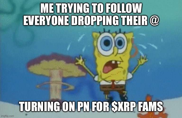 FLODISCOMING's tweet photo. Max following every $xrp family on here.
Let’s help build each other drop your handles let’s follow each other 👇 #XRPCommunity #fuzzy #codedpunks https://t.co/y8B9WlpgPv