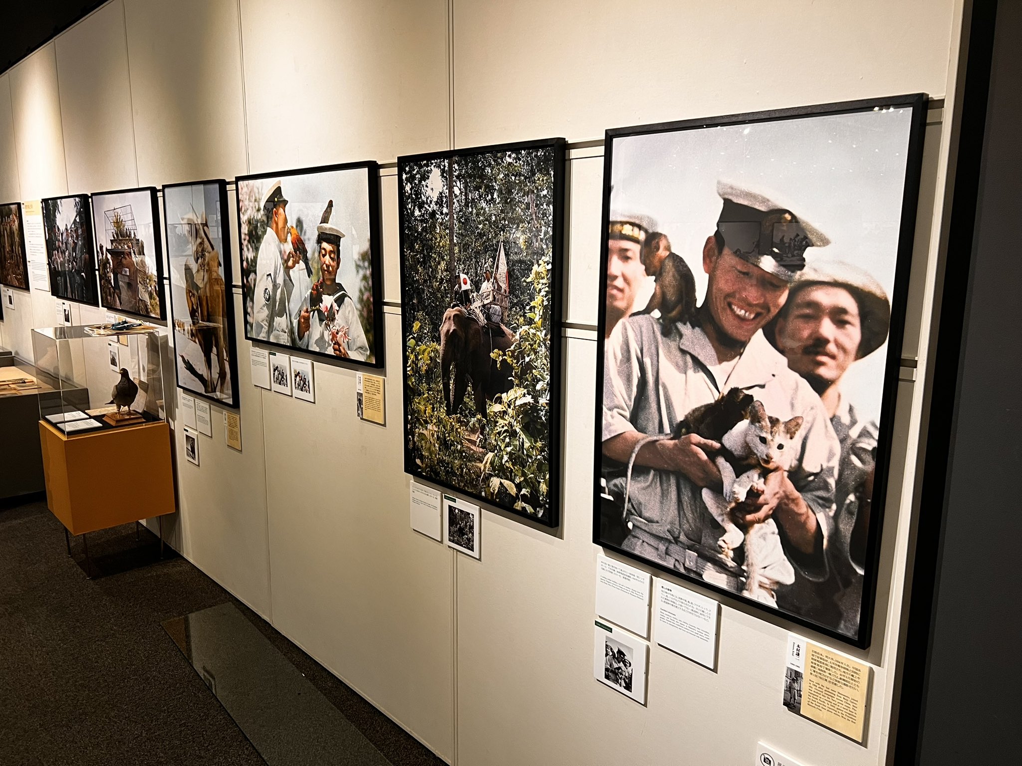 ☆本☆ 全日本写真展77 1977年 朝日新聞 - アート写真