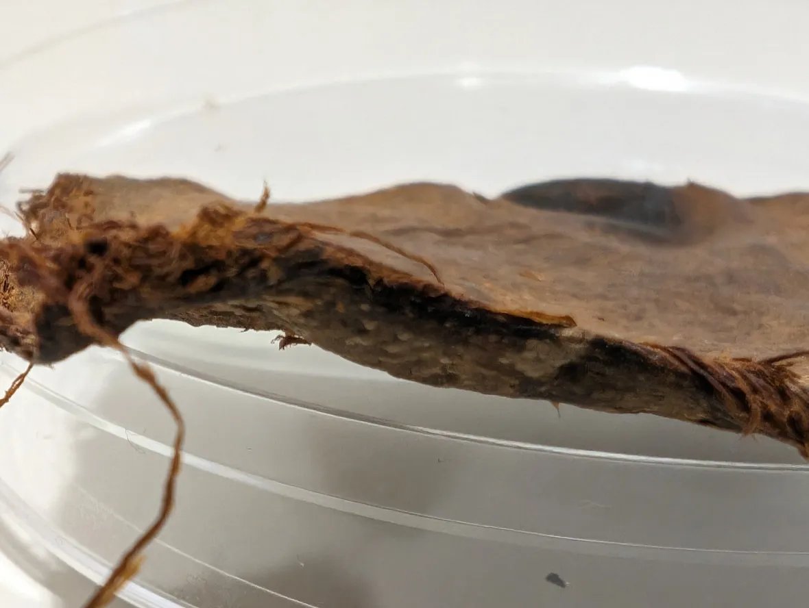 Mario Nawfal tweet media