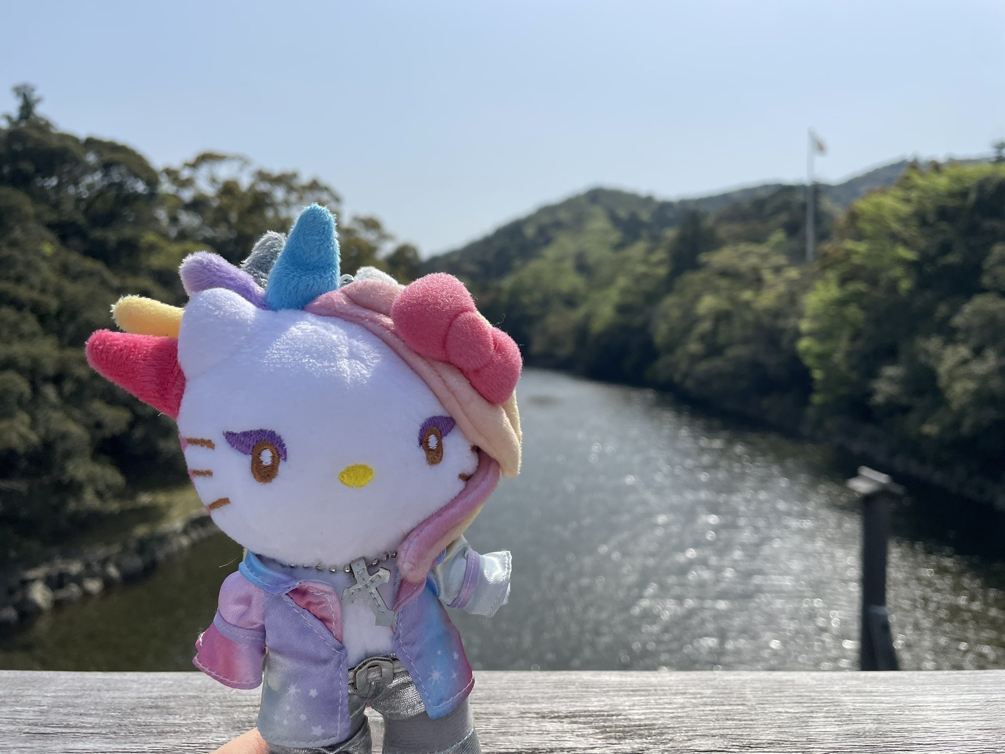 yoshikitty (@yoshikitty) / X yoshikitty (@yoshikitty) / X